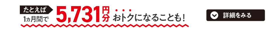 たとえば1ヵ月間で5,731円分おトクになることも！詳細をみる