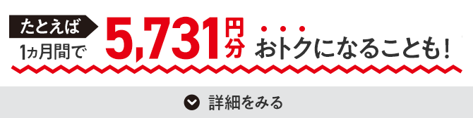 たとえば1ヵ月間で5,731円分おトクになることも！詳細をみる