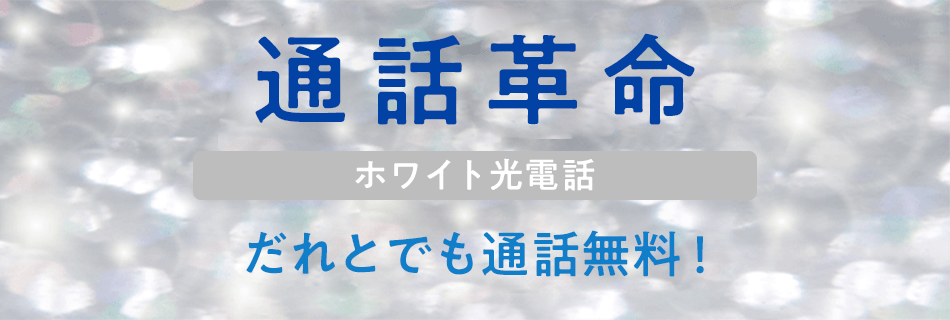 通話革命 ホワイト光電話 だれとでも通話無料!
