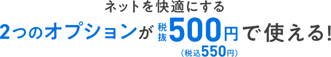 ネットを快適にする２つのオプションが税抜500円（税込550円）で使える！