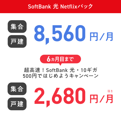 SoftBank 光 Netflixパック 集合 戸建 8,560円／月 6ヵ月目まで 超高速！SoftBank 光・10ギガ 500円ではじめようキャンペーン 集合 戸建 2,680円／月※1