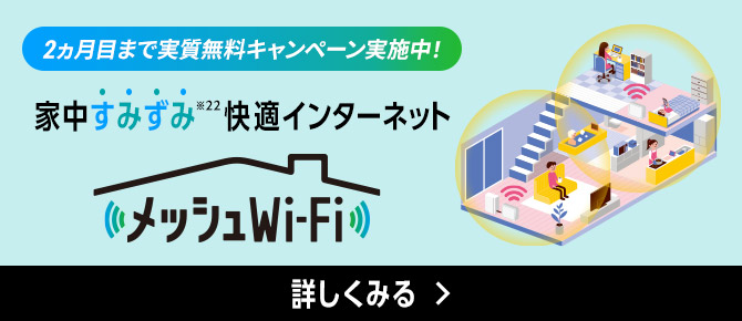 2ヵ月目まで実質無料キャンペーン実施中！ 家中すみずみ※22快適インターネット メッシュWi-Fi 詳しくみる