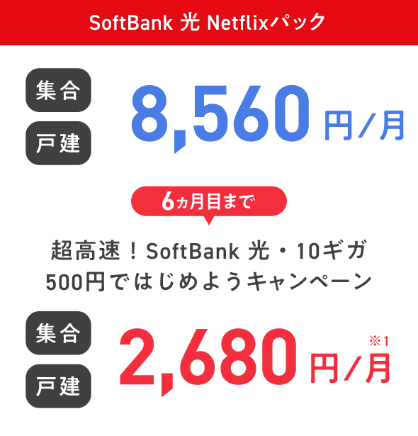 SoftBank 光 Netflixパック 集合 戸建 8,560円／月 6ヵ月目まで 超高速！SoftBank 光・10ギガ 500円ではじめようキャンペーン 集合 戸建 2,680円／月※1