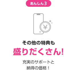 あんしん3 その他の特典も盛りだくさん! 充実のサポートと納得の価格