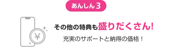 あんしん3 その他の特典も盛りだくさん! 充実のサポートと納得の価格
