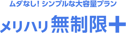 ムダなし！ シンプルな大容量プラン メリハリ無制限+