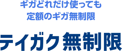 ギガどれだけ使っても定額のギガ無制限 テイガク無制限