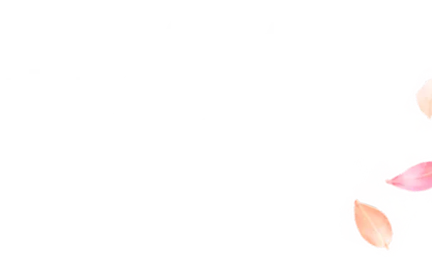 おトクな特典に申し込む