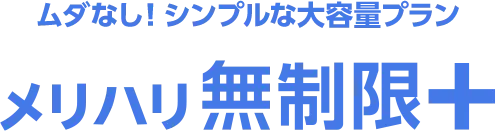 ムダなし！ シンプルな大容量プラン メリハリ無制限+