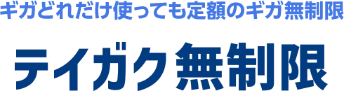 ギガどれだけ使っても定額のギガ無制限 テイガク無制限