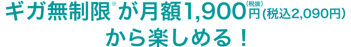 ギガ無制限※が月額1,680円(税抜)(税込1,848円)から楽しめる!
