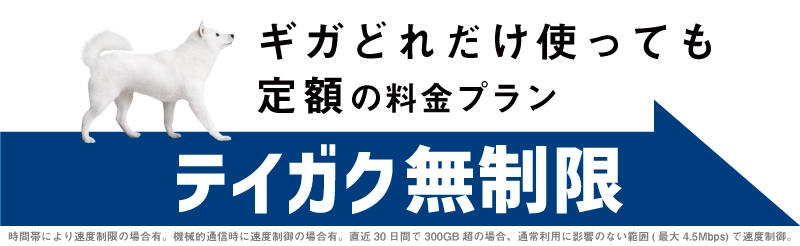ギガどれだけ使っても定額の料金プラン テイガク無制限 直近30日間で300GB日超の場合、通常利用に影響のない範囲（最大4.5Mbps）で速度制御
