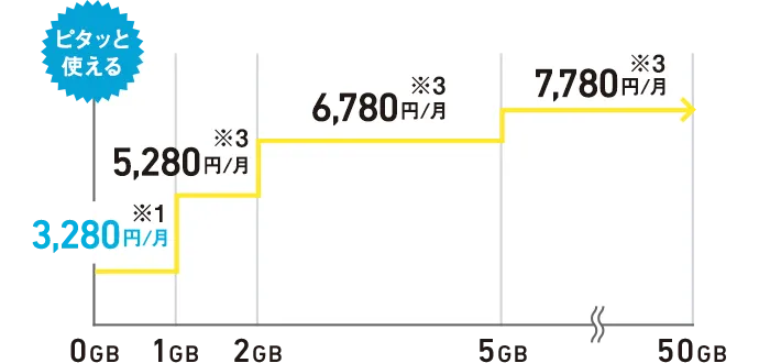 2年目以降の料金