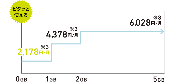 ピタッと使える 0GB 1,980円/月※3 1GB 3,980円/月※3 2GB~5GB 5,480円/月※3