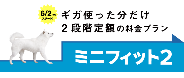 ギガ使った分だけ 段階定額の料金プラン ミニフィット２