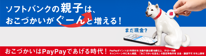 ソフトバンクの親子は、おこづかいがぐーんと増える！ おこづかいはPayPayであげる時代！ PayPayポイントは1年間付与 対象年齢は18歳以上、子12～18歳 キャンペーン中に本人確認、「おこづかいを送る」の設定等条件有 出勤・譲渡不可 付与上限有