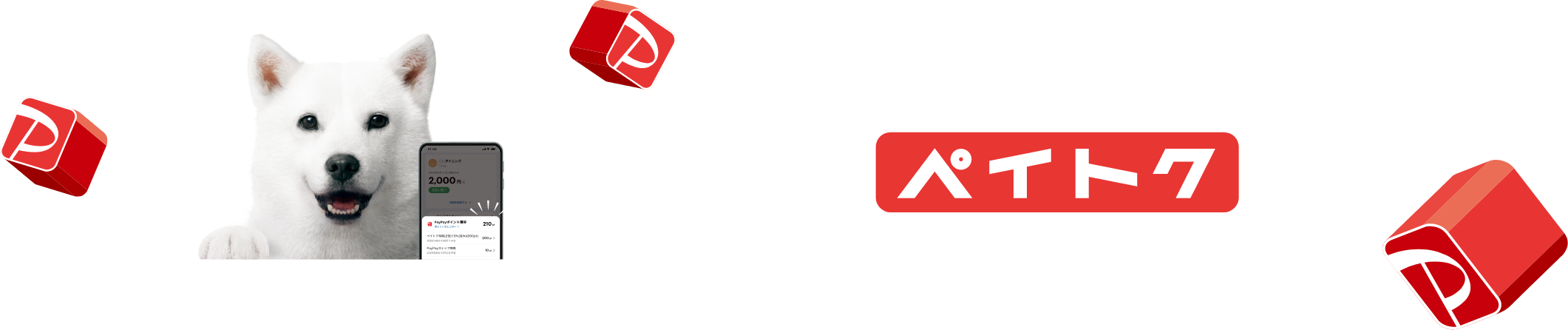 ポイントがっぽり料金プラン ペイトク
