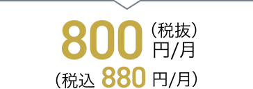 800円/月（税抜）（税込 880円/月）