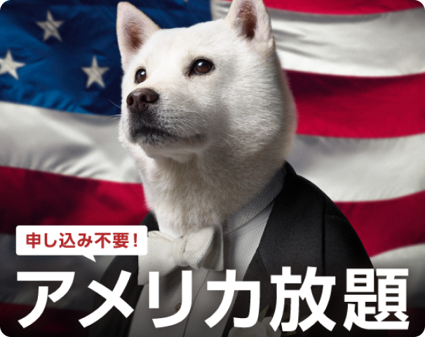 アメリカ放題