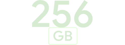 256GB