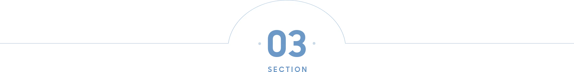 SECTION 03