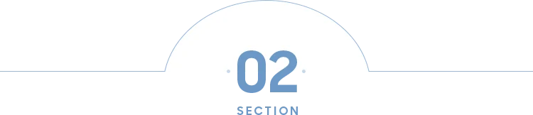 SECTION 02