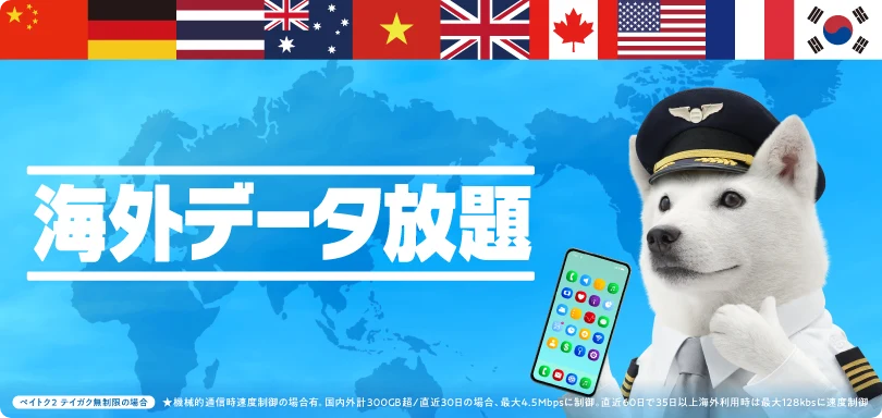 海外データ放題