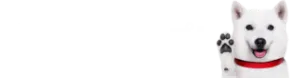 簡単2ステップ!