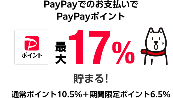 PayPayでのお支払いでPayPayポイント最大17%貯まる!通常ポイント10.5%+期間限定ポイント6.5%