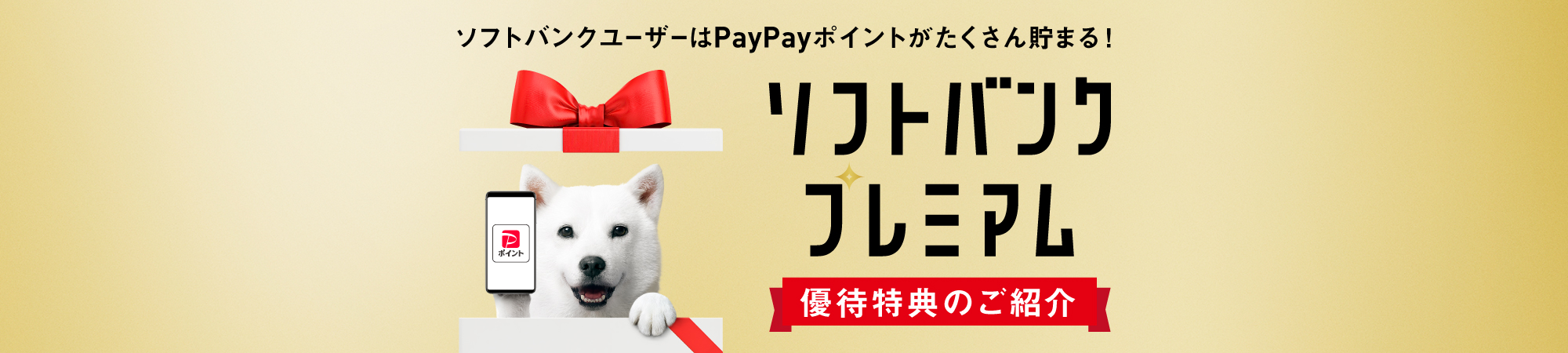 ソフトバンクユーザーはPayPayがたくさん貯まる! ソフトバンクプレミアム 優待特典のご紹介
