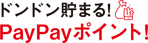 ドンドン貯まるPayPayポイント!