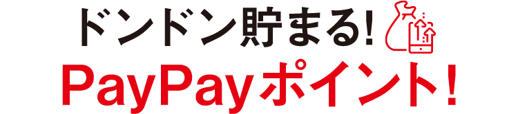 ドンドン貯まるPayPayポイント!