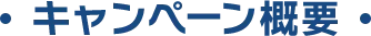 キャンペーン概要 