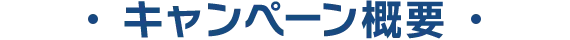 キャンペーン概要 