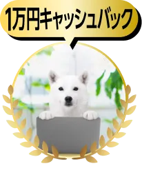 1万円キャッシュバック