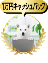 1万円キャッシュバック