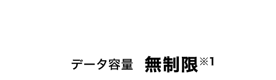 メリハリ無制限＋ ムダなし！シンプルな大容量プラン データ容量 無制限※1