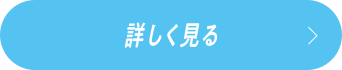 詳しく見る
