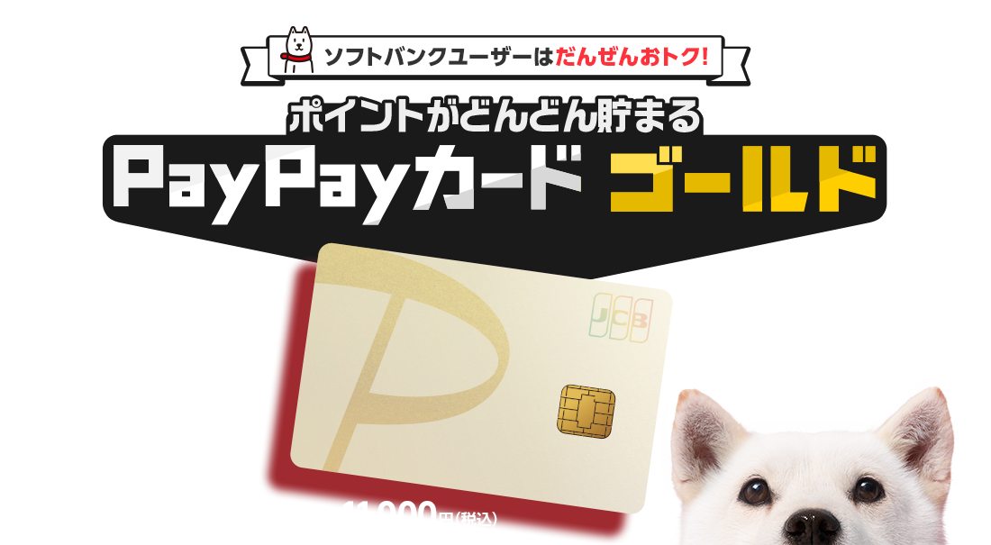ソフトバンクユーザーはだんぜんおトク！ ポイントがどんどん貯まる PayPayカード ゴールド 年会費11,000円（税込）