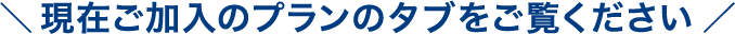 現在ご加入のプランのタブをご覧ください