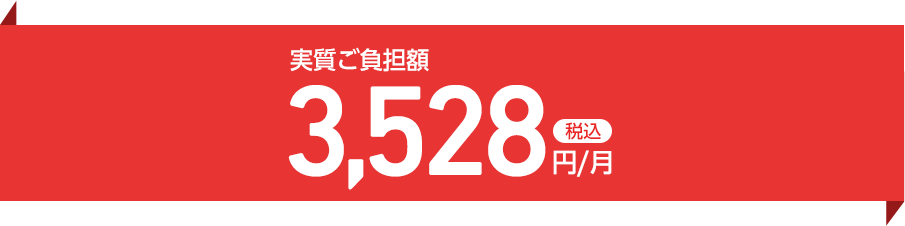実質こ負担額税込3,528円／月