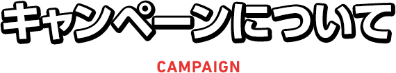 キャンペーンについて