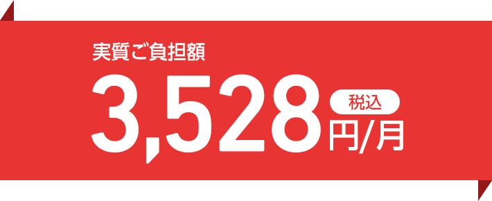 実質こ負担額税込3,528円／月