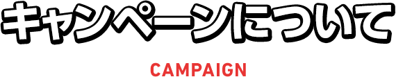 キャンペーンについて