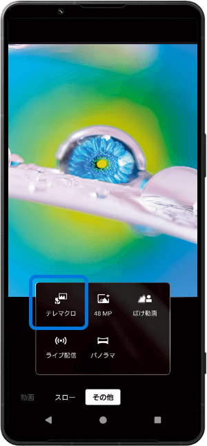 テレマクロ