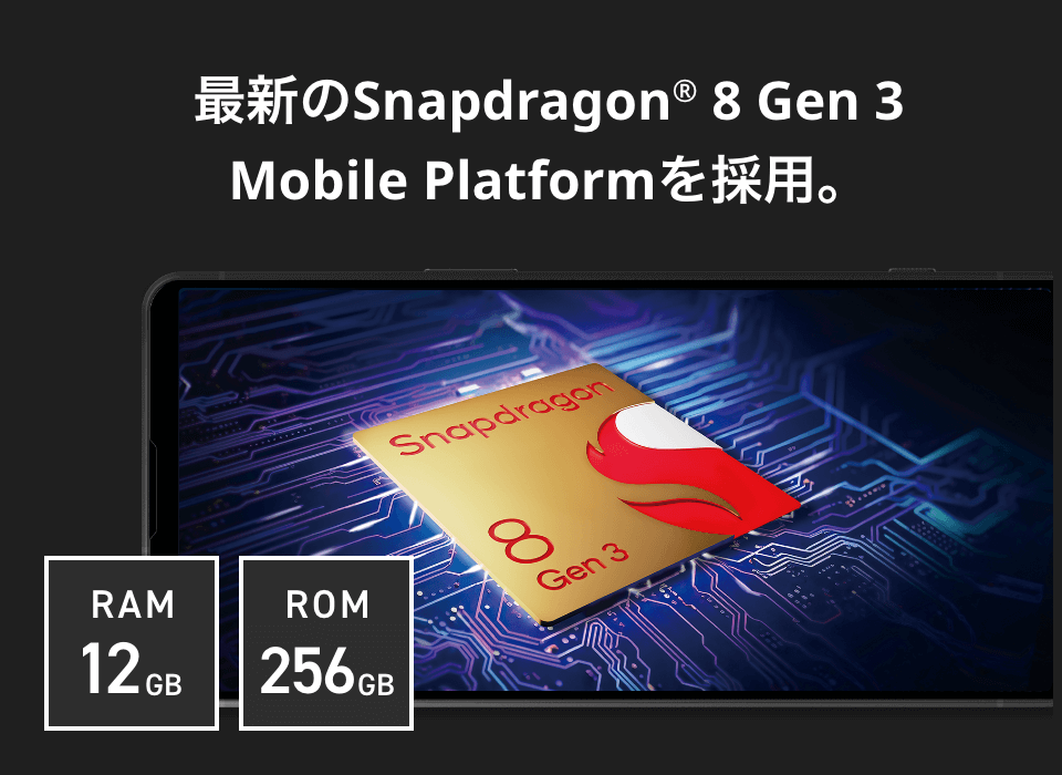 ROM256GB RAM12GB