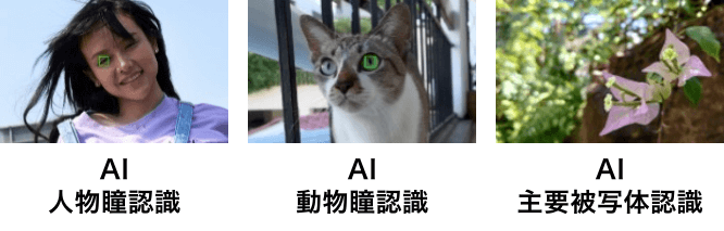 AI人物瞳認識、AI動物瞳認識、AI主要被写体認識