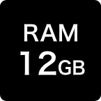 RAM 12GB