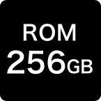 ROM 256GB