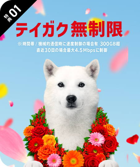 テイガク無制限